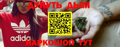 МДПВ Можга