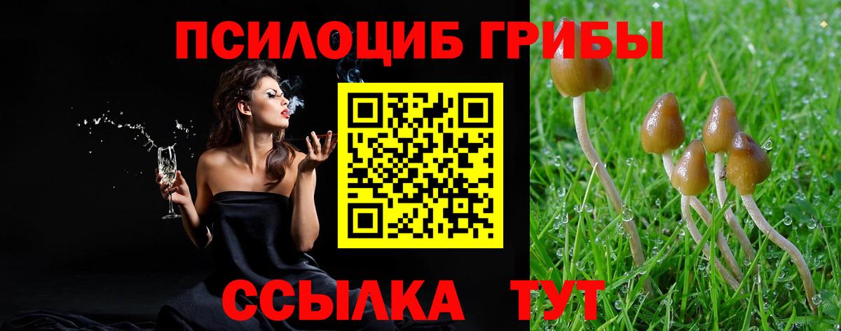 Галлюциногенные грибы Cubensis Таганрог